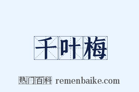 千叶梅是什么意思的图片